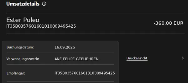 Fingierter Umsatz über 360 Euro an die von Ana genannte Bankverbindung; keine echte Überweisung